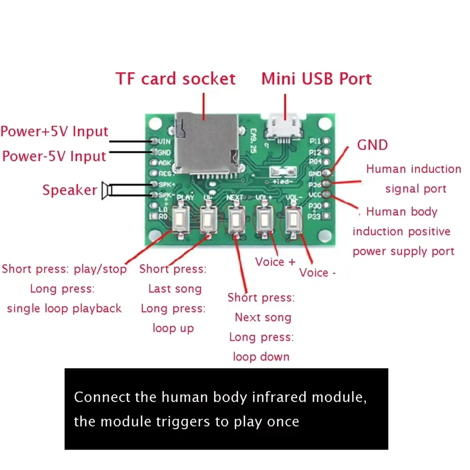 Kit Modul Pemutaran Musik MP3  - Audio Music To Download ulasan dan harga